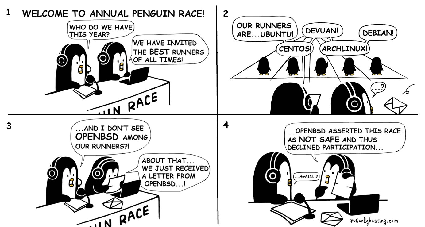 penguin-race.jpg