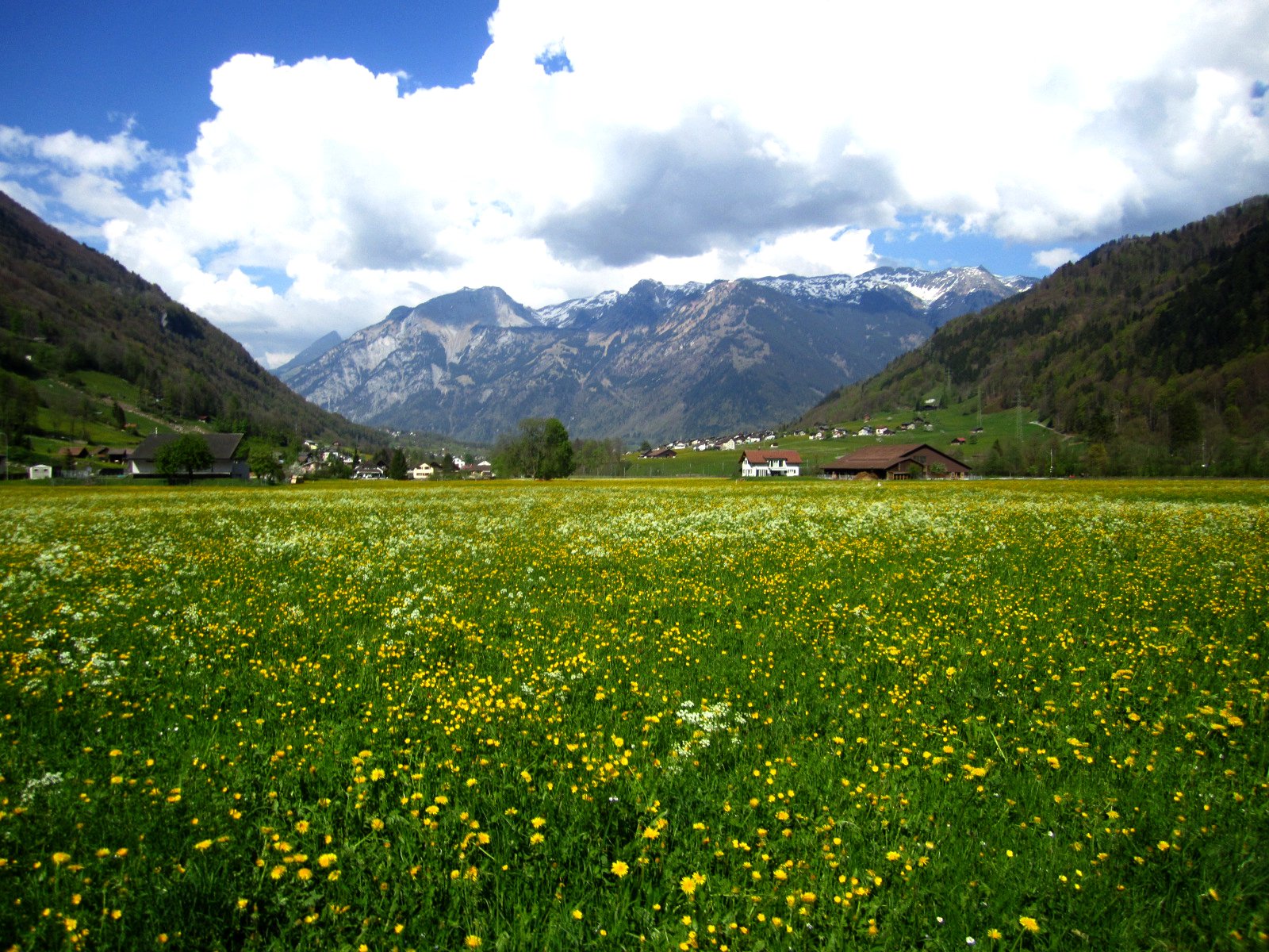 digitalglarus_scenery.jpg