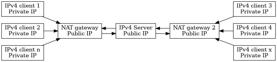 IPv4 Double NAT